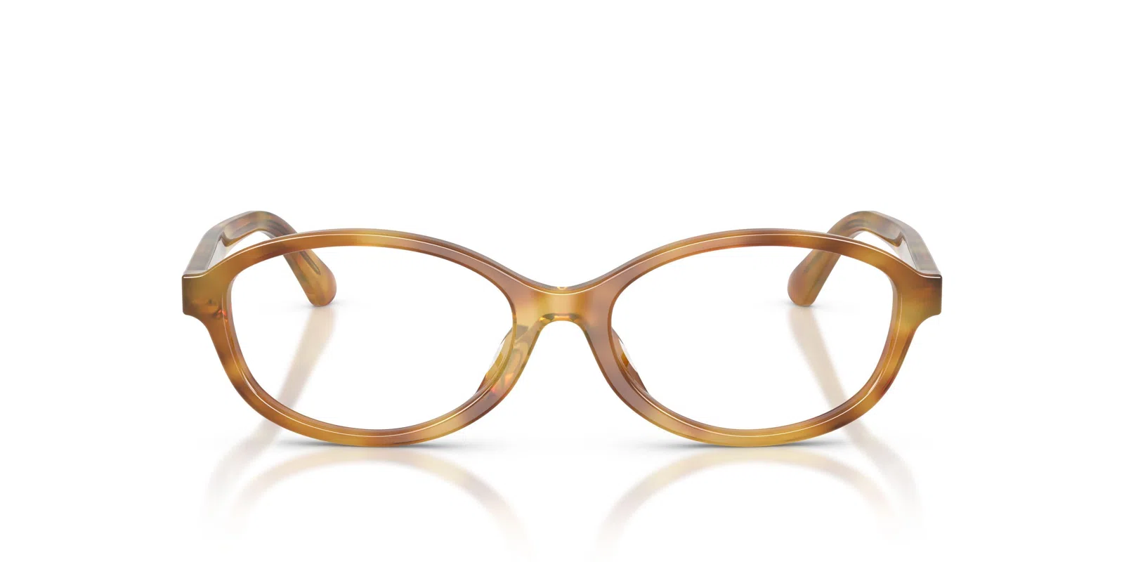 Polo 2311U Eyeglasses - view 9